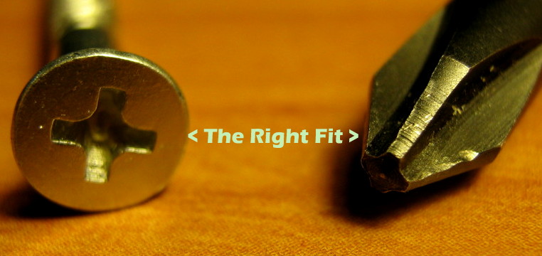 Optimizing for Reward Video Ads